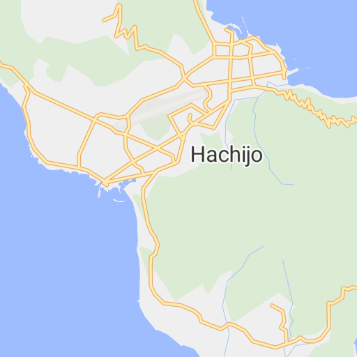 八丈島 はちじょうじま Hachijojima 地形図 Pacific Spatial Solutions Inc Avenza Maps